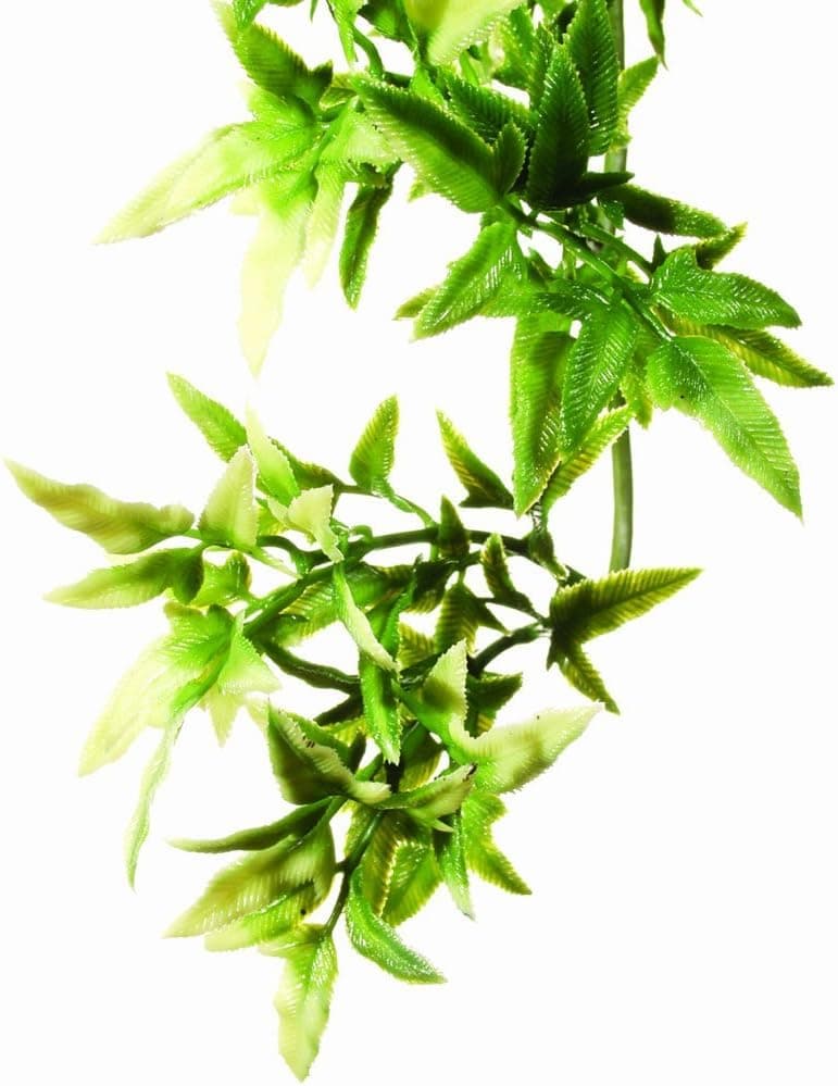 Best Artificial Plants for Terrariums
