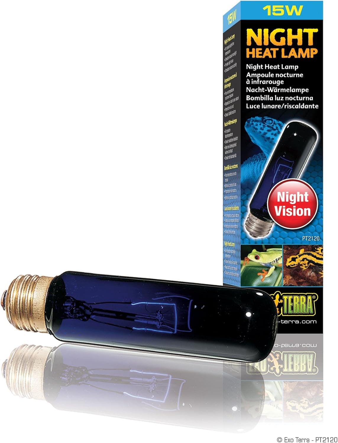 Best Night Heat and Low-Light Options for Reptiles