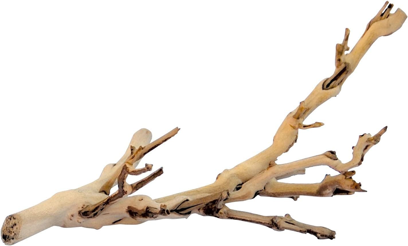 Best Climbing Branches for Reptiles