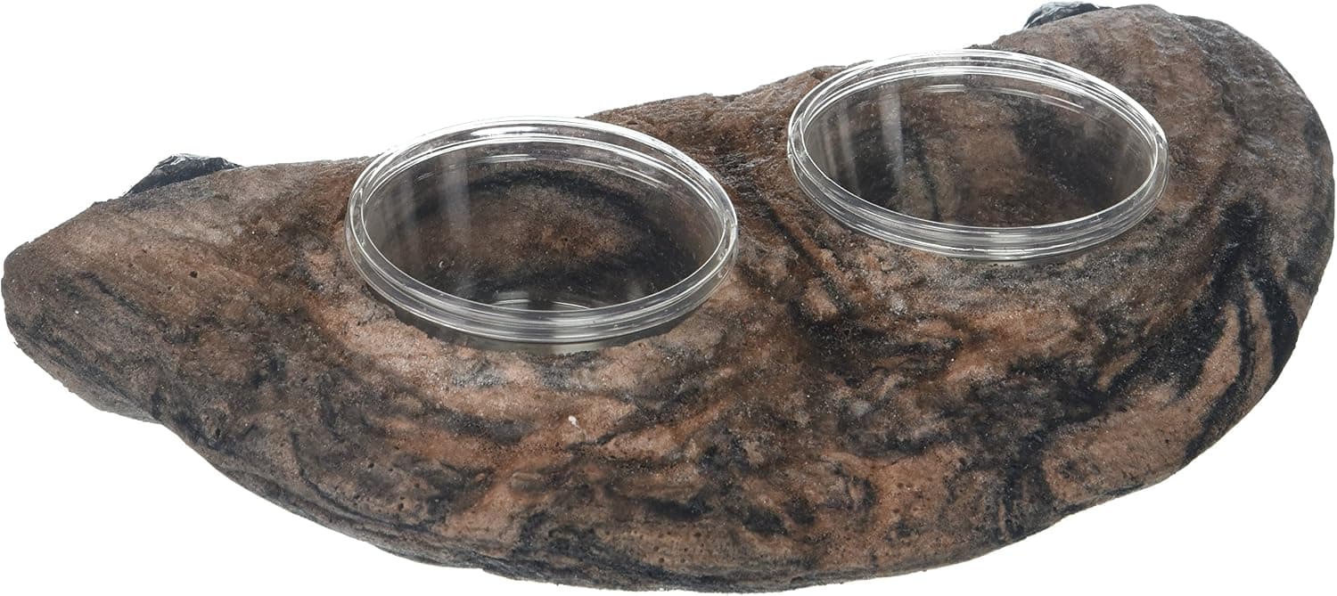 Best Magnetic Ledges for Terrariums