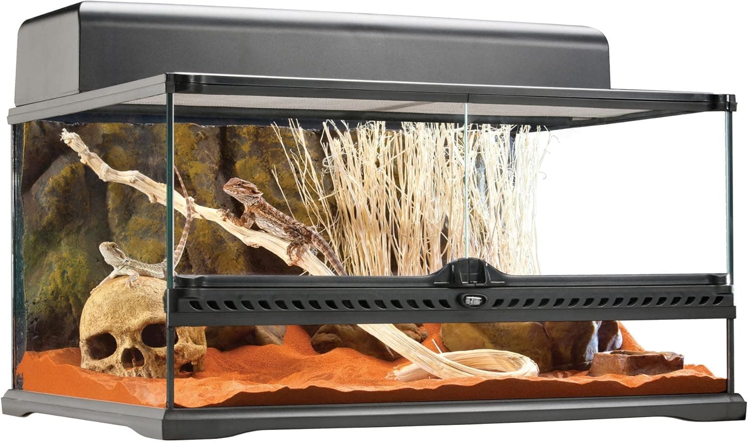 Exo Terra Glass Natural Terrarium Kit, Short Wide Design, 24 x 18 x 12 Inches, PT2604A1