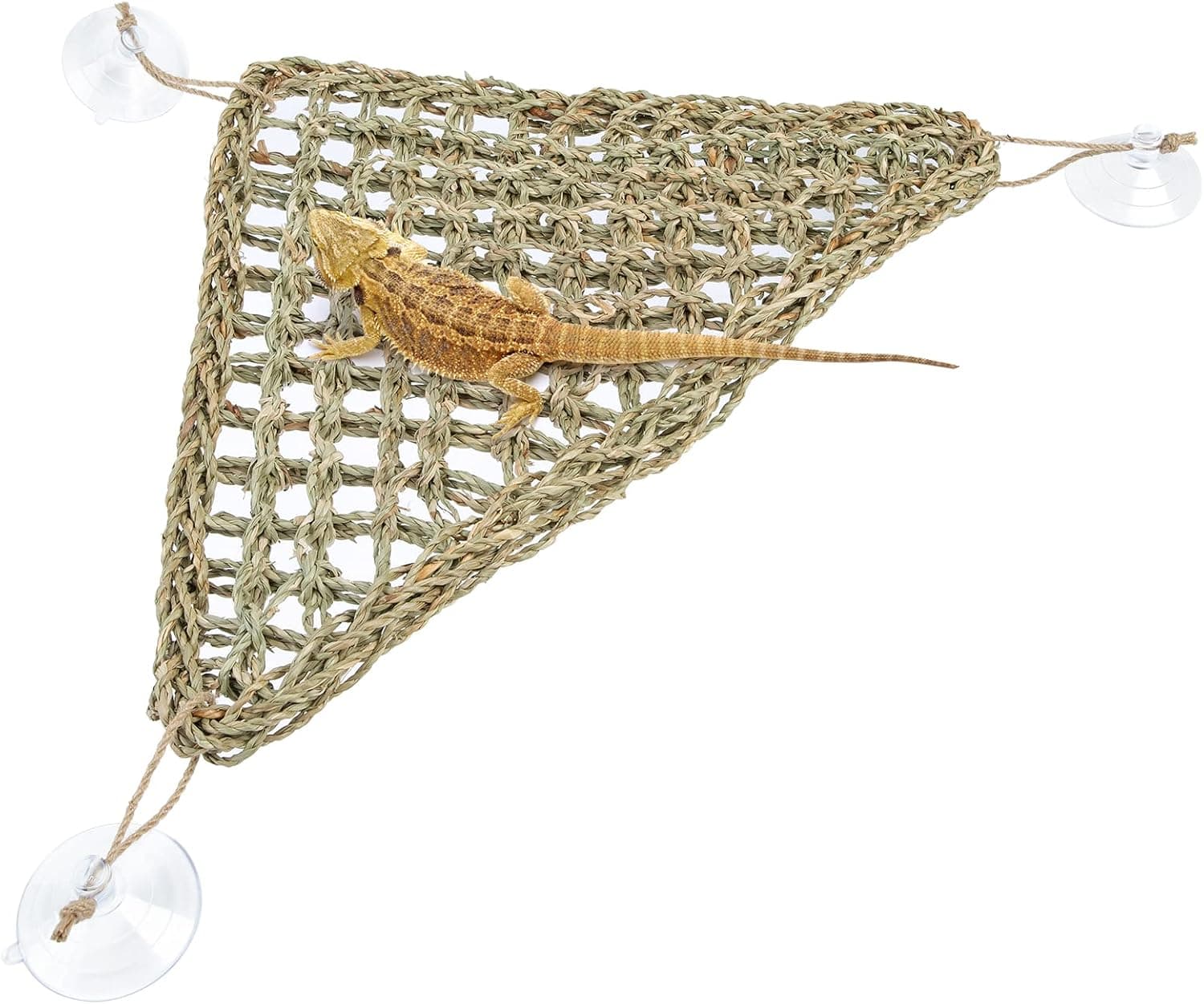 Best Reptile Hammocks
