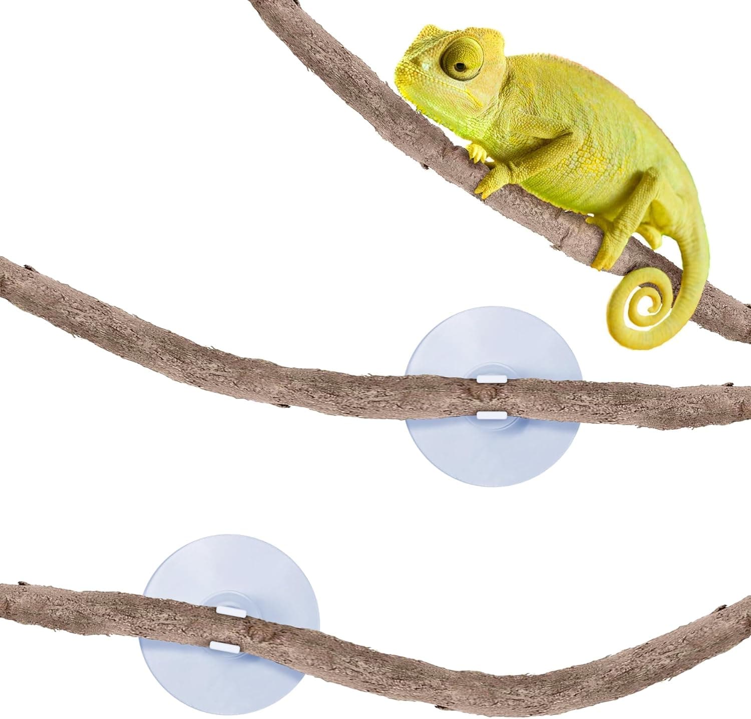 SunGrow 6 ft Reptile Vine for Terrarium, Flexible Climber Lizard Tank Decor, Twistable and Bendable