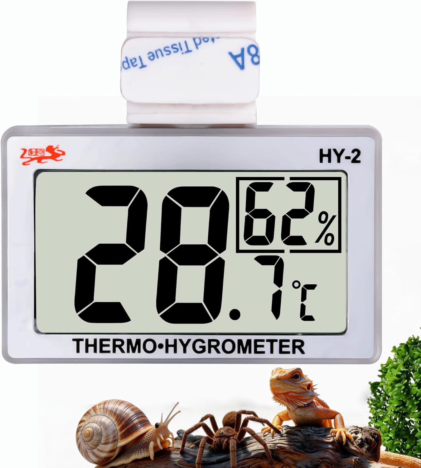 Best Reptile Thermometers and Hygrometers
