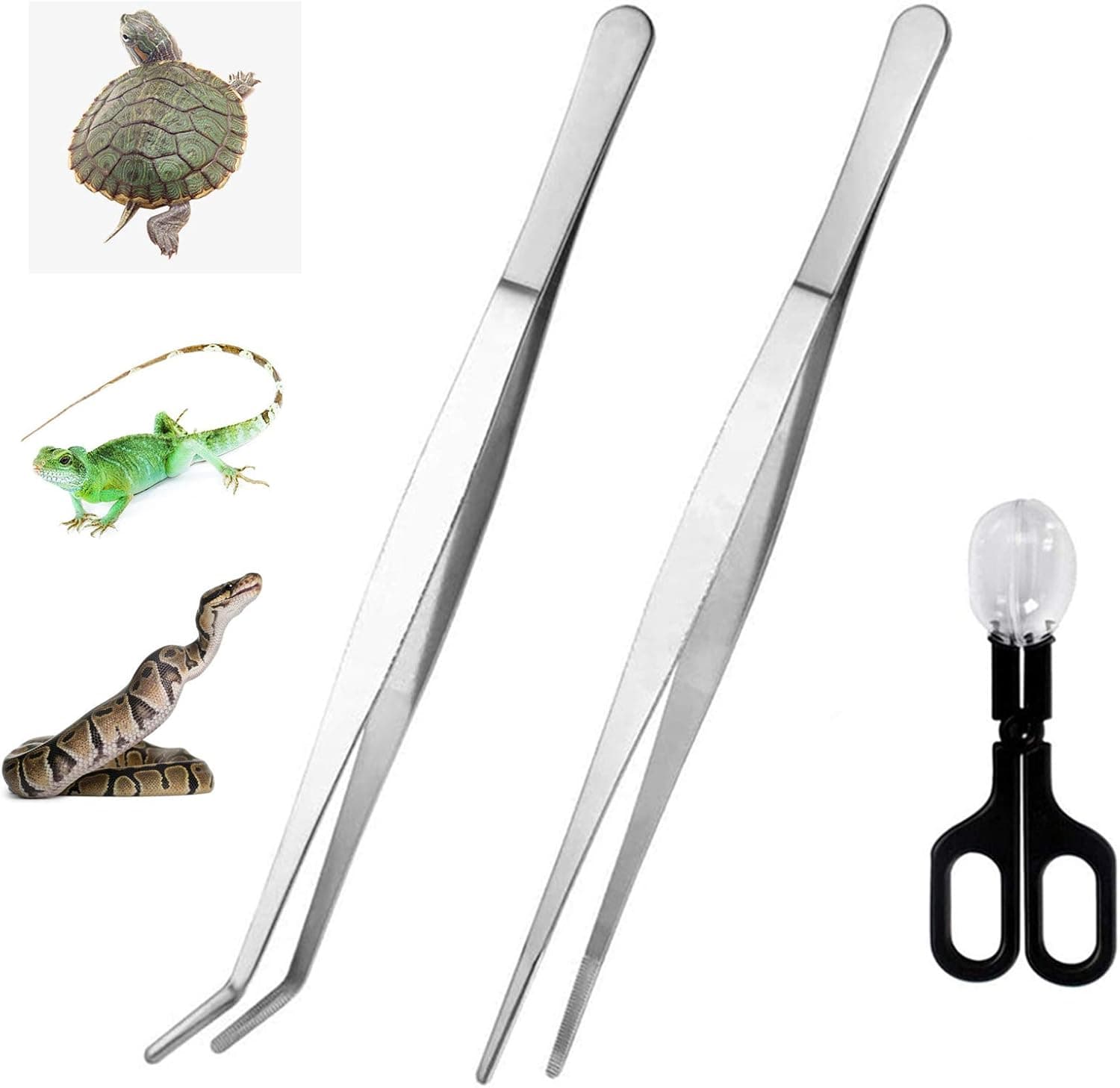 alfyng 15 Inch Reptile Feeding Tongs Long Tweezers Cricket Clamp Bug Scooper, 3 Pcs Stainless Steel Straight and Curved Tweezers