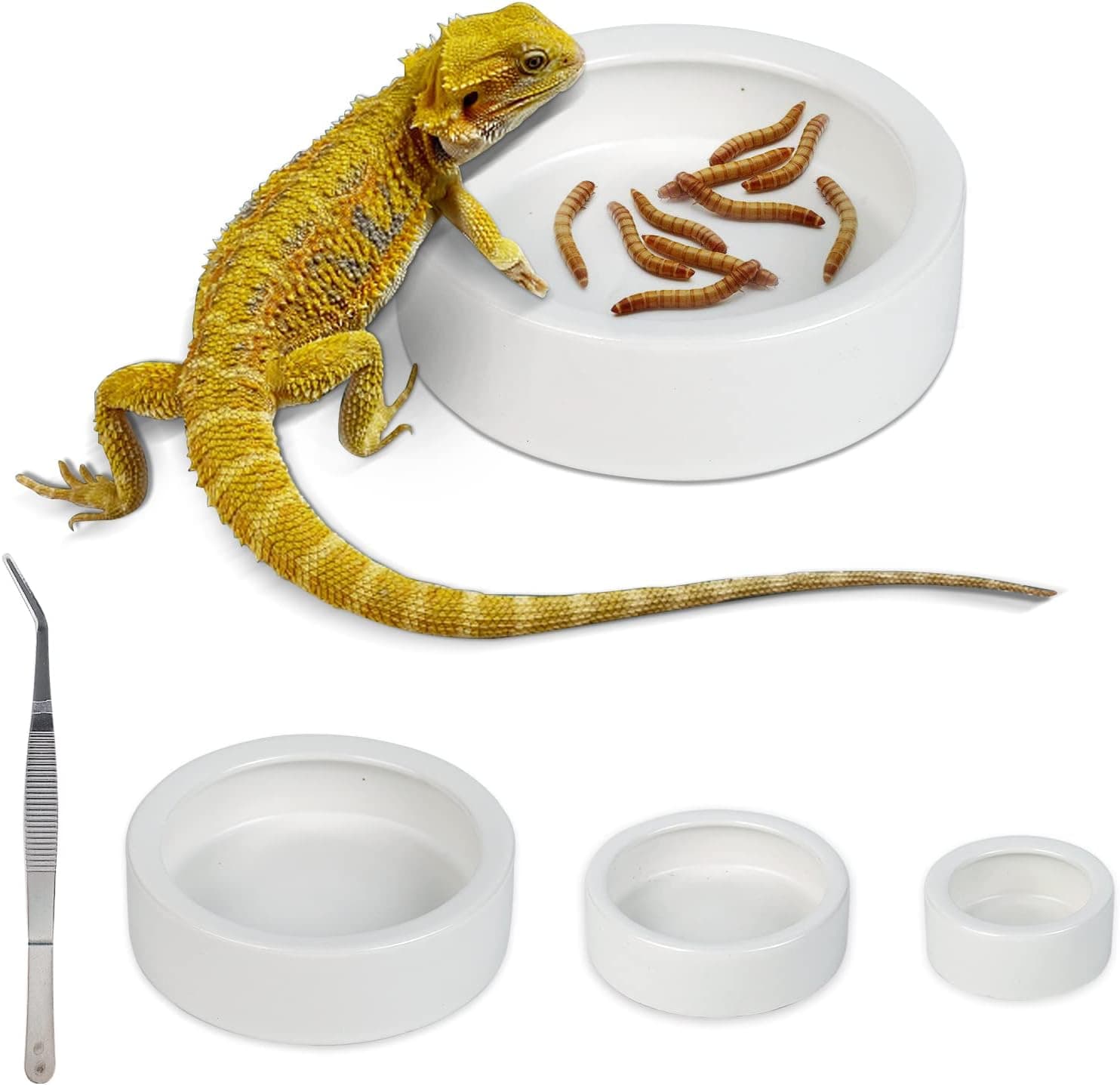 WUHOSTAM Ceramic Reptile Food and Water Bowl Set of 3 with Tweezer
