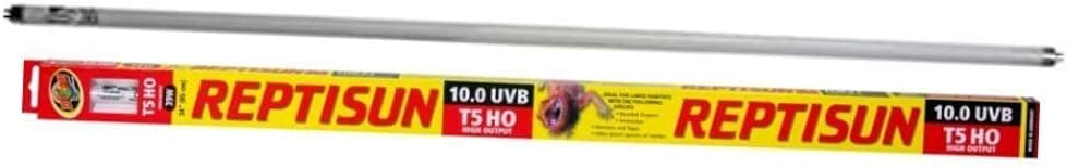 Best UVB Bulbs for Reptile Enclosures
