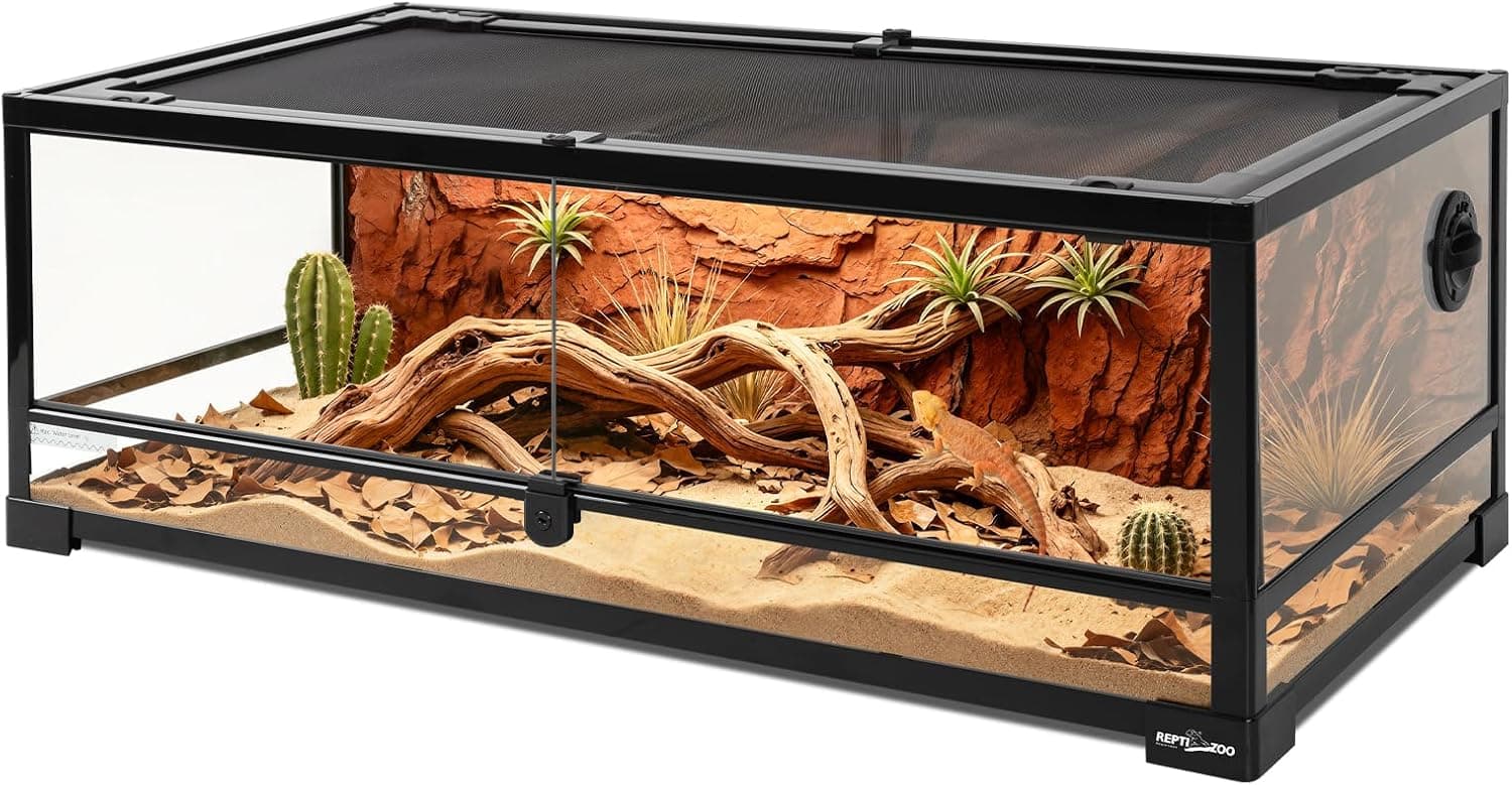 Best Front-Opening Terrariums for Everyday Reptile Care