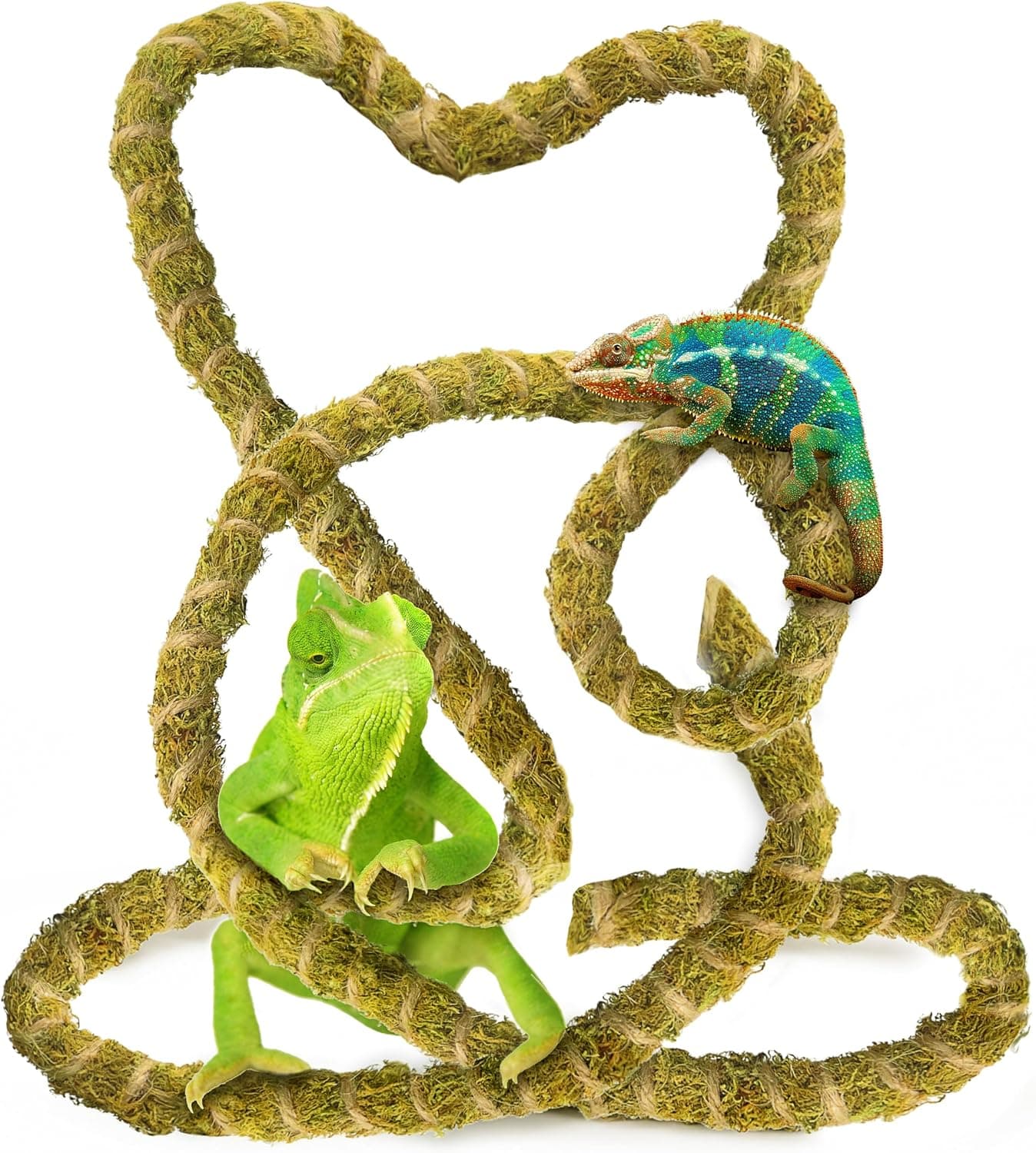 Duspro 10 FT Reptile Vines for Climbing, Bendable Branch Natural Moss Rope Jungle Decor