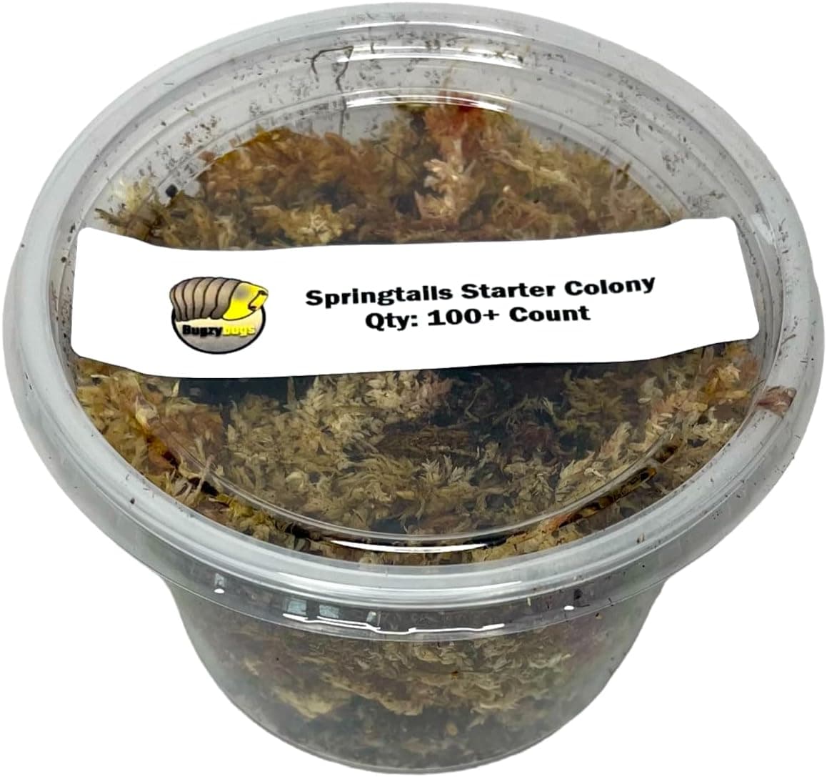 Bugzy Bugs Springtail Live 100+ Count (16 oz) Culture Starter Colony Bioactive Cleanup Crew
