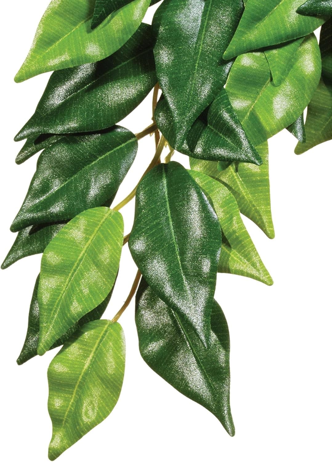 Exo Terra Hanging Silk Plants - Ficus