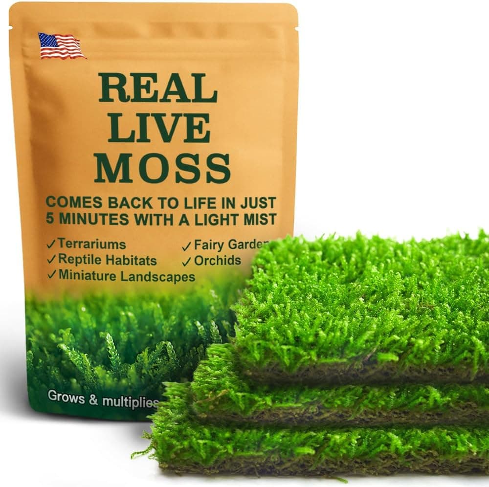 Live Moss - Hypnum Moss (3 Sheets) for Terrariums, Fairy Gardens and Bonsai