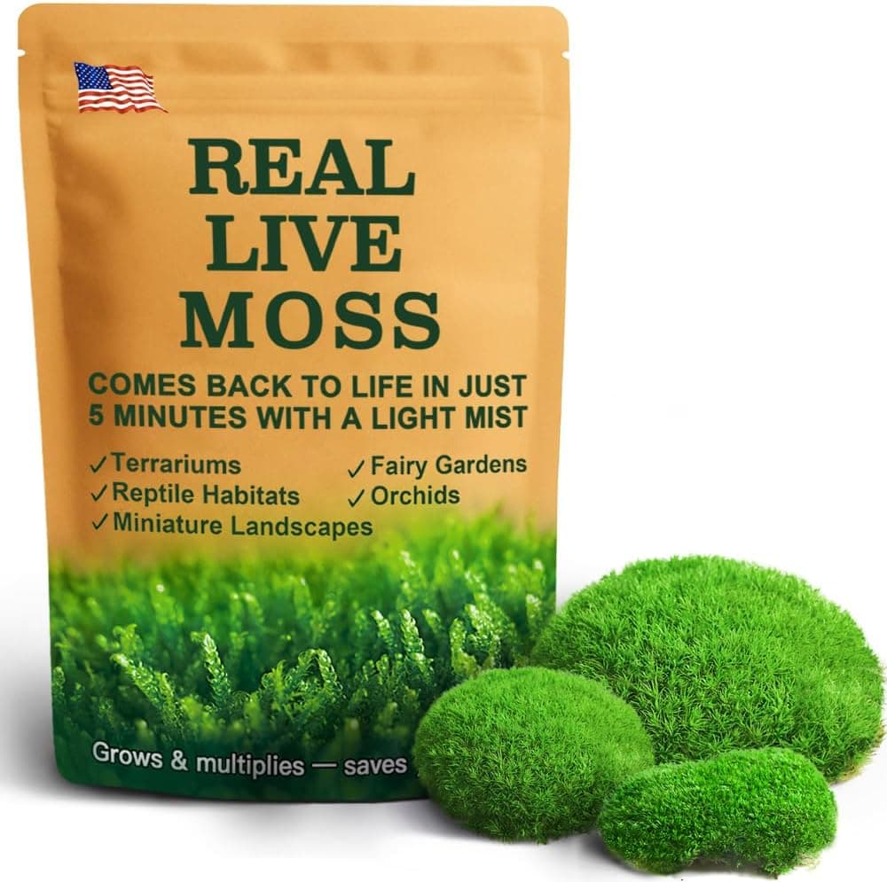 Live Moss - Leucobryum Moss (2 Sheets) for Terrariums, Bonsai and Potted Plants