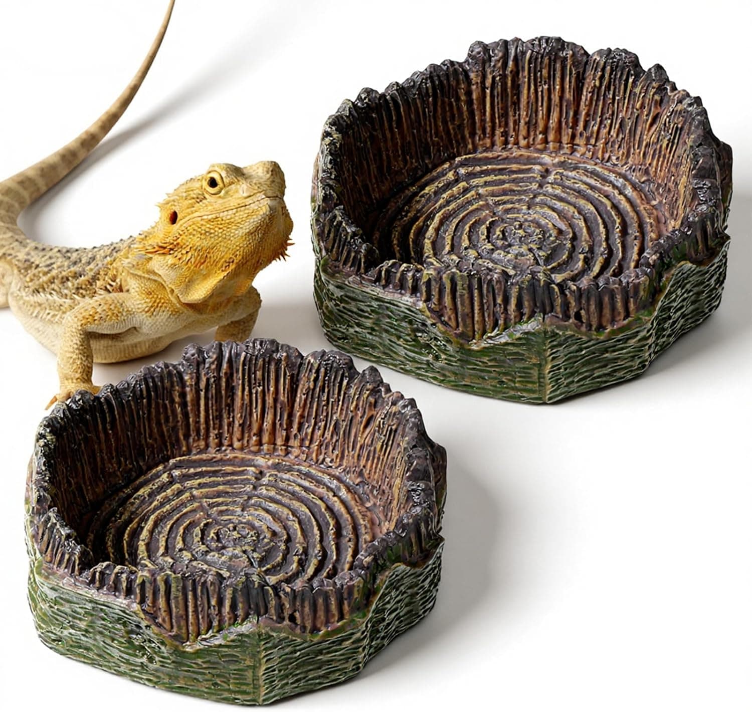 Small Reptile Food Dish, 2 PCS Resin Terrarium Water Bowl for Bearded Dragon and Gecko