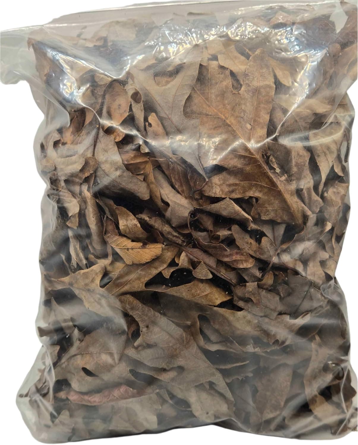 ShieldWallExotics Terrarium Leaf Litter Natural Oak Mix for Isopods, Springtails and Dart Frogs, 1 Gallon