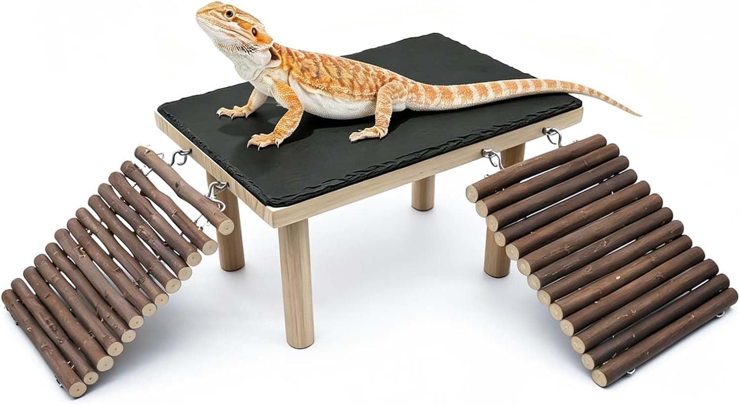 Best Basking Platforms and Ledges