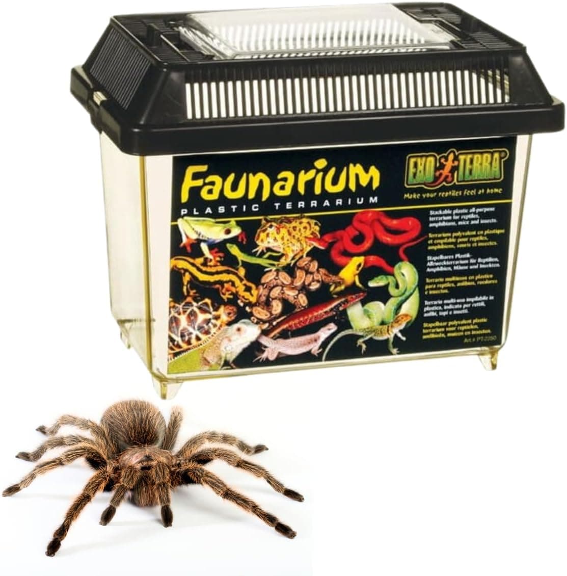 Best Reptile Carriers and Travel Boxes