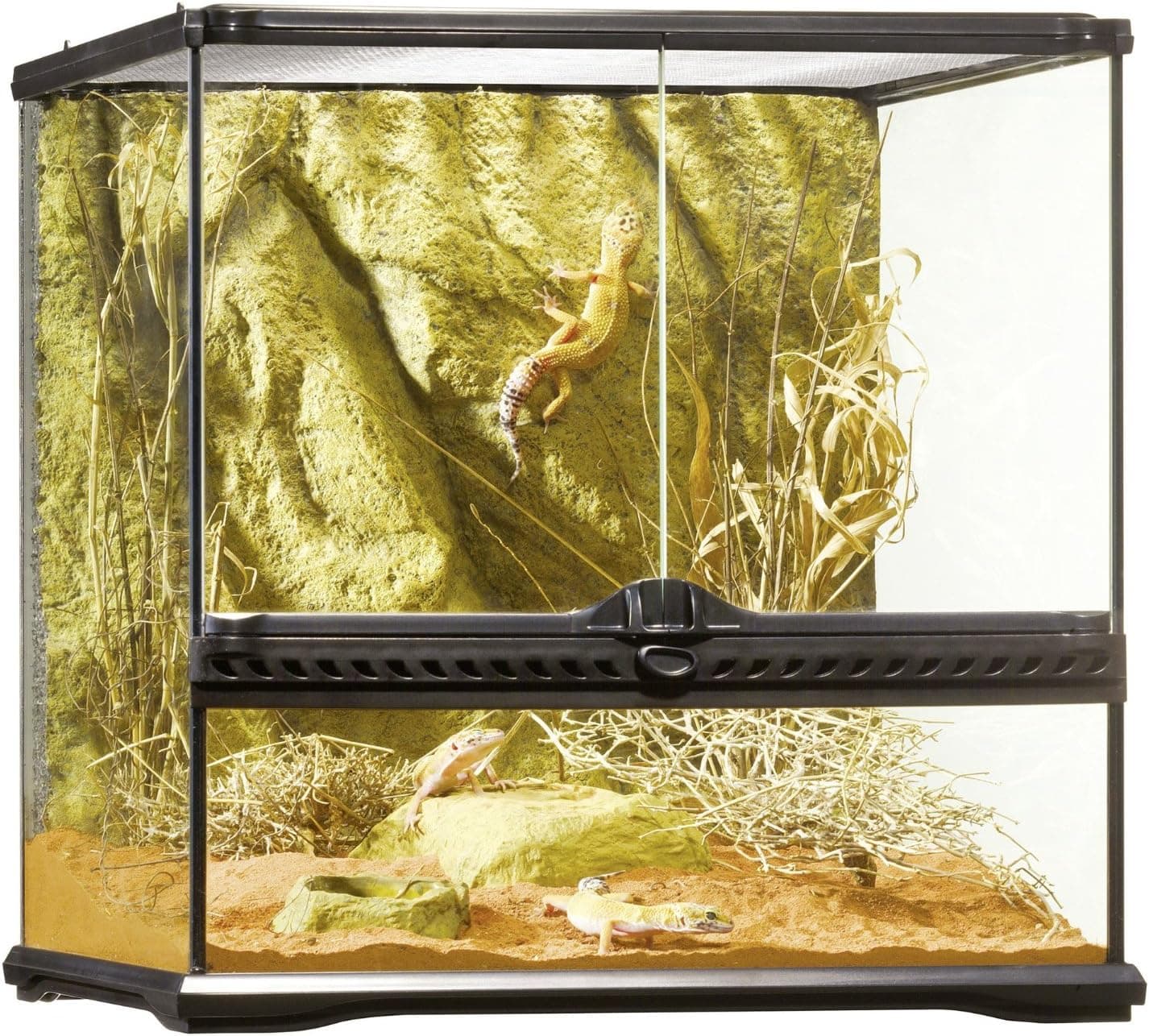 Exo Terra Glass Natural Terrarium Kit, for Reptiles and Amphibians, Small Wide, 18 x 18 x 18 Inches, PT2605A1