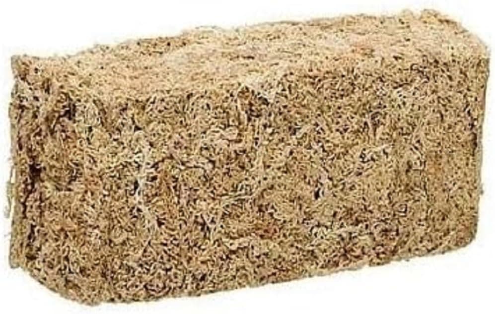 Zoo Med Laboratories New Zealand Sphagnum Moss, 0.33 Pound