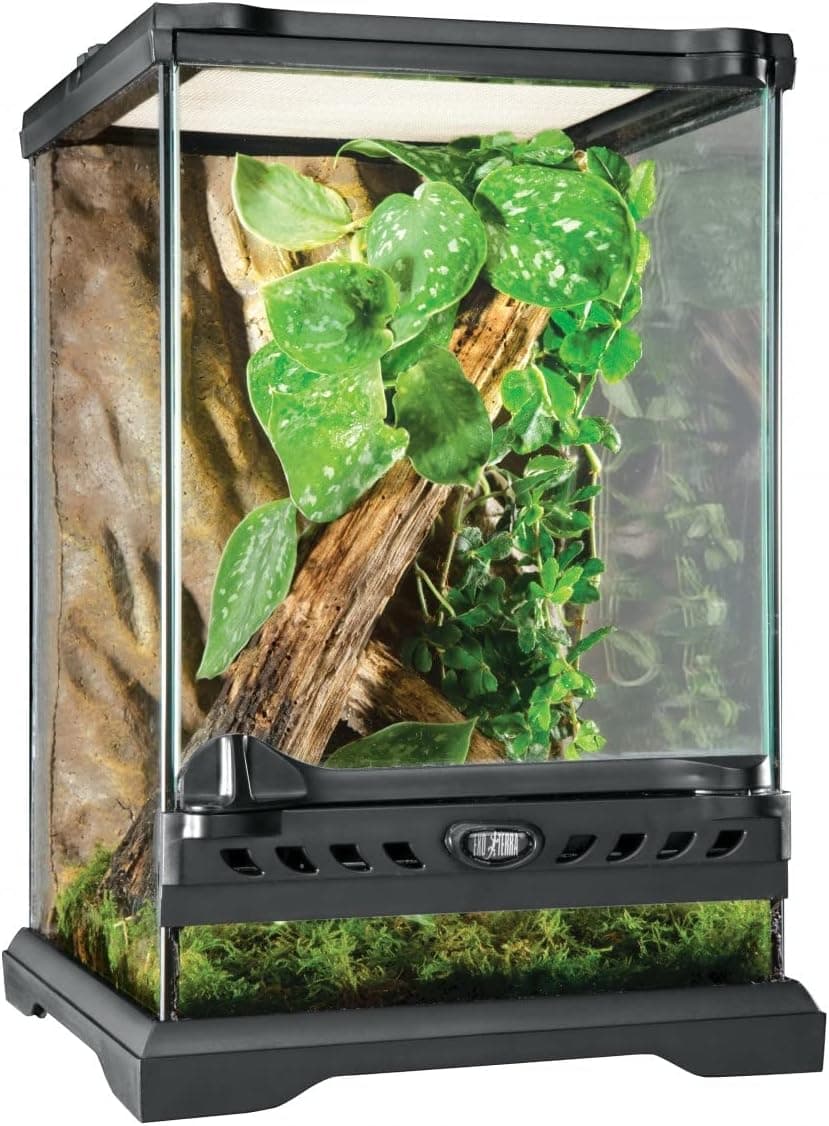 Exo Terra Glass Nano Terrarium Kit, 8 x 8 x 12 Inches, for Reptiles and Amphibians