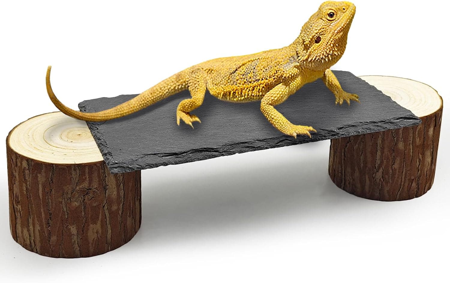 Gxsdj Bearded Dragon Basking Platform, Reptile Basking Slate Rocks with Wooden Pile