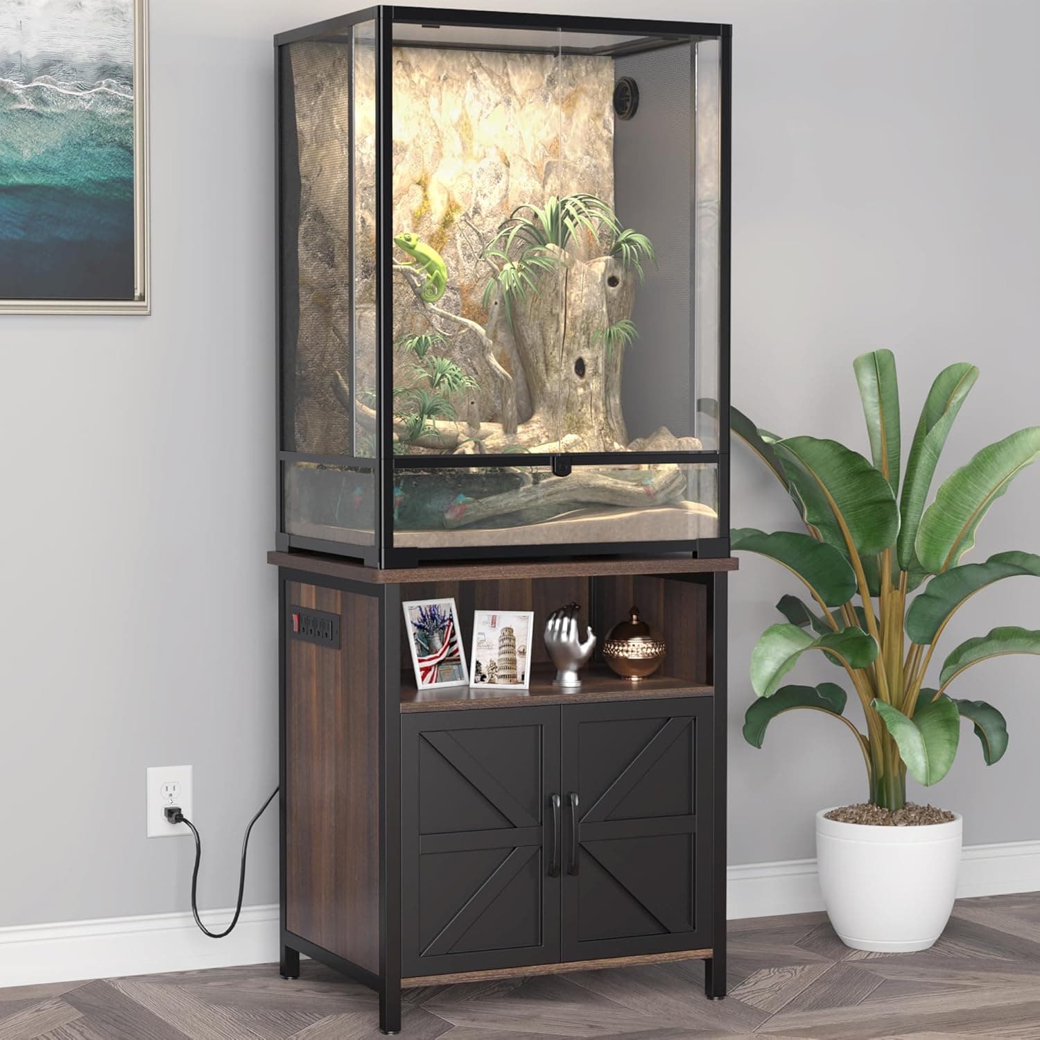 Best Terrarium Stands for Heavy Glass Enclosures
