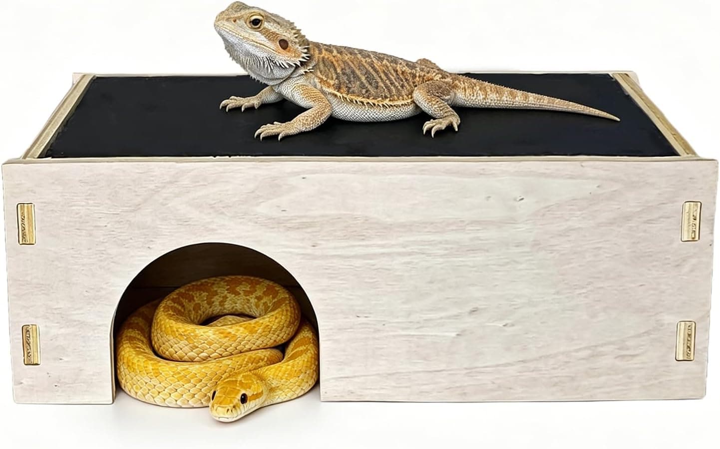 Bearded Dragon Basking Platform, Wooden Reptile Hide Cave with Basking Rock